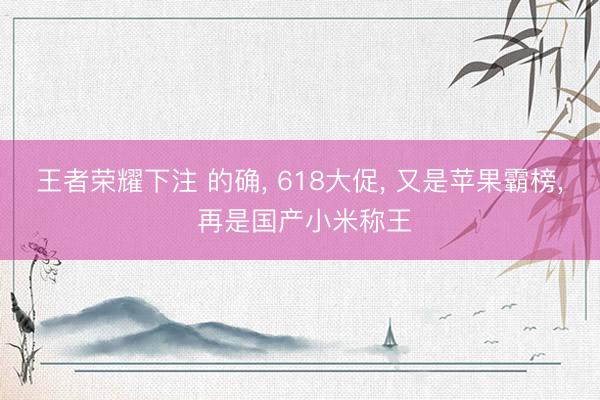 王者荣耀下注 的确， 618大促， 又是苹果霸榜， 再是国产小米称王
