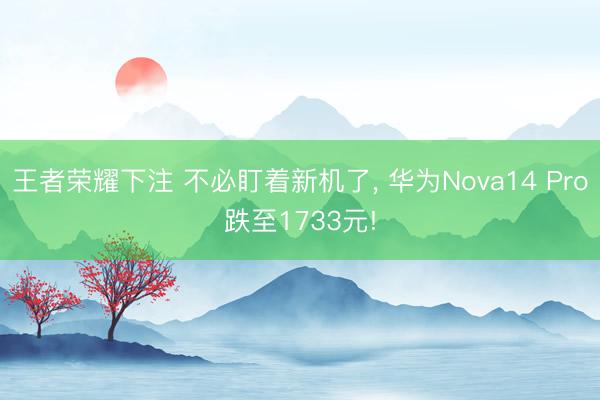 王者荣耀下注 不必盯着新机了, 华为Nova14 Pro跌至1733元!