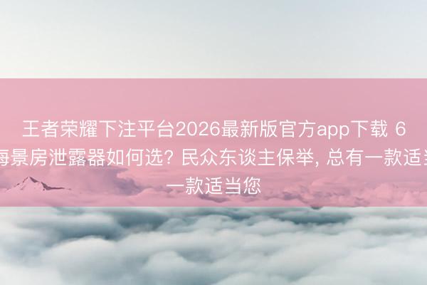 王者荣耀下注平台2026最新版官方app下载 618海景房泄露器如何选? 民众东谈主保举, 总有一款适当您