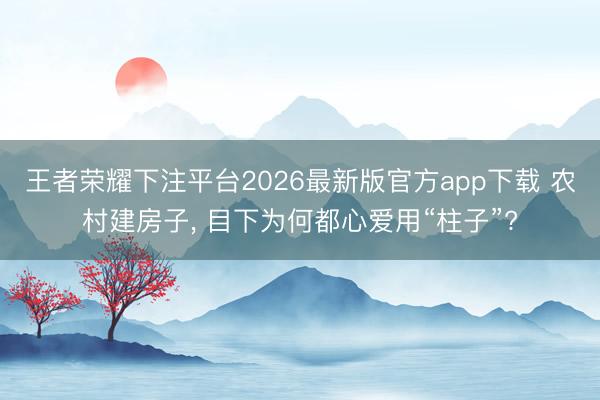 王者荣耀下注平台2026最新版官方app下载 农村建房子， 目下为何都心爱用“柱子”?