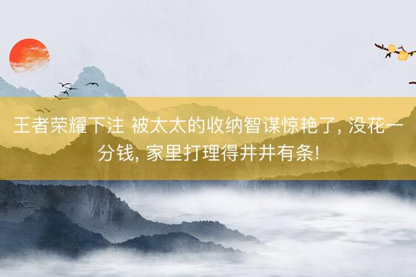 王者荣耀下注 被太太的收纳智谋惊艳了， 没花一分钱， 家里打理得井井有条!