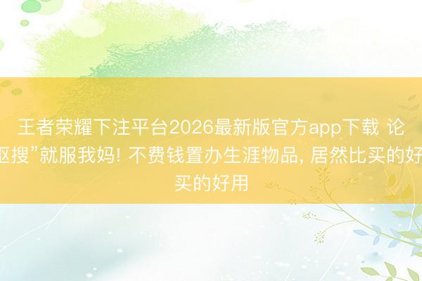 王者荣耀下注平台2026最新版官方app下载 论“抠搜”就服我妈! 不费钱置办生涯物品， 居然比买的好用
