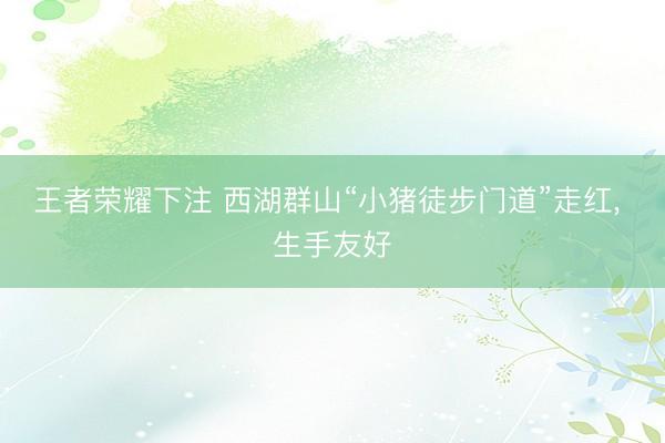 王者荣耀下注 西湖群山“小猪徒步门道”走红, 生手友好