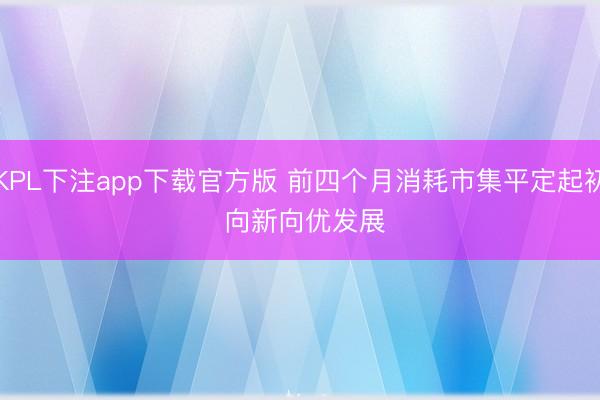 KPL下注app下载官方版 前四个月消耗市集平定起初 向新向优发展