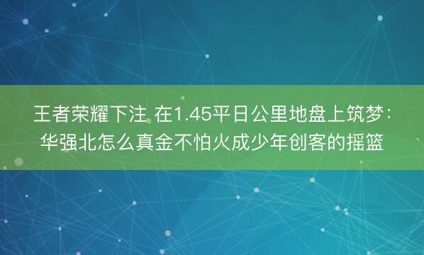 王者荣耀下注 在1.45平日公里地盘上筑梦:华强北怎么真金不怕火成少年创客的摇篮